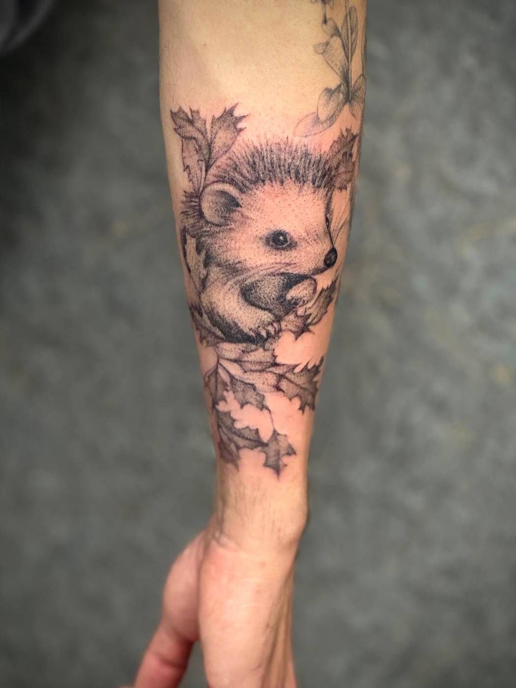 Dotwork-Tattoo – Igel
