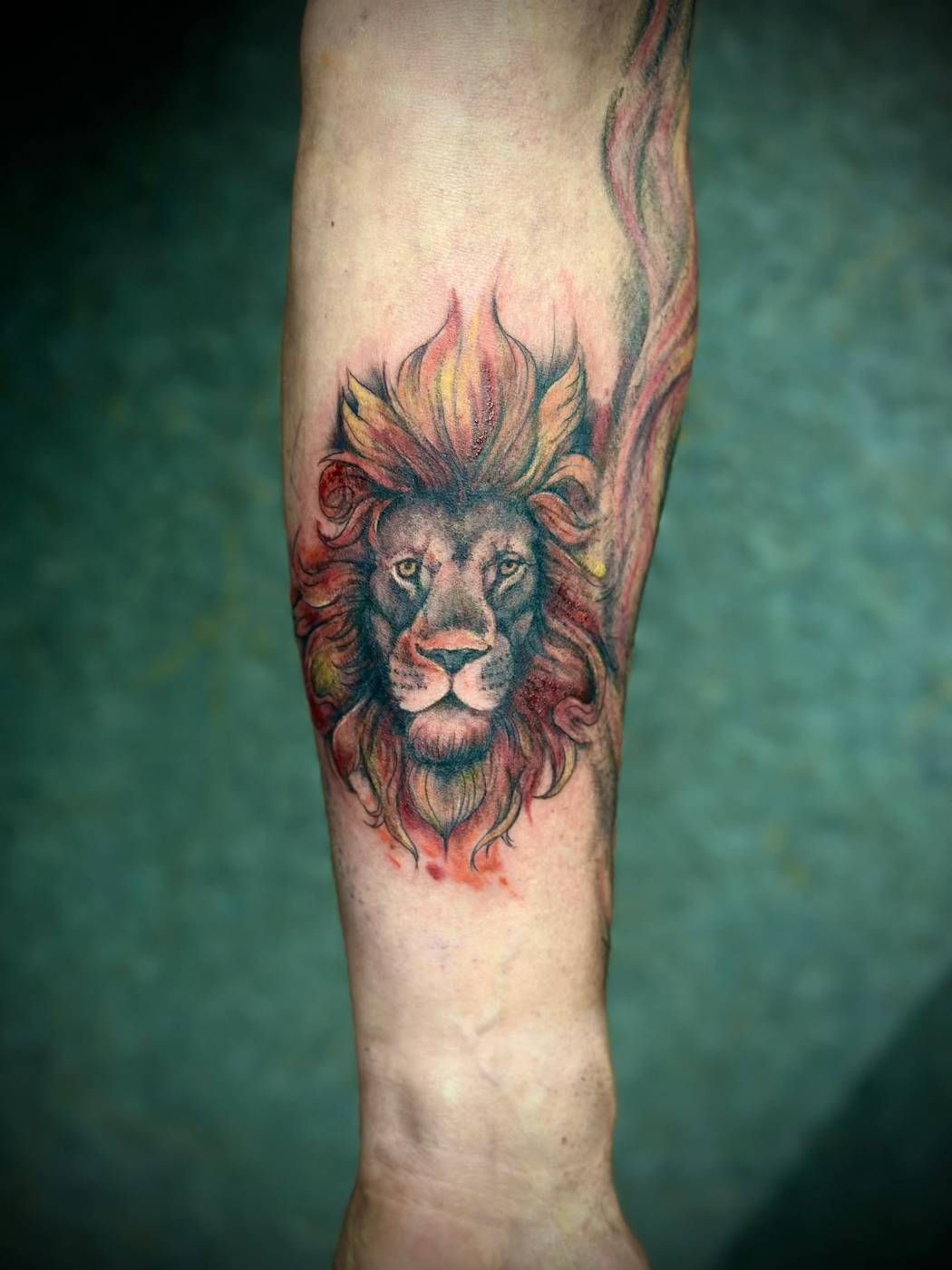 Löwe in Farbe, Unterarm – Lion Ink 37, Einbeck
